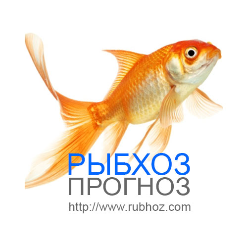 Прогноз клева в старобешево